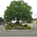 Rond-point à Aussonne