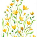 Dessin aquarelle fleurs jaunes