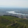 [Drôme] la colline de l'Hermitage avant les vendanges