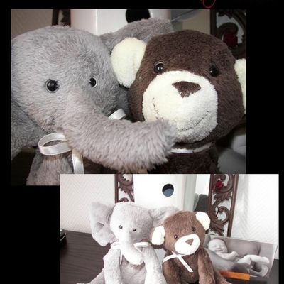 Un monde de peluches