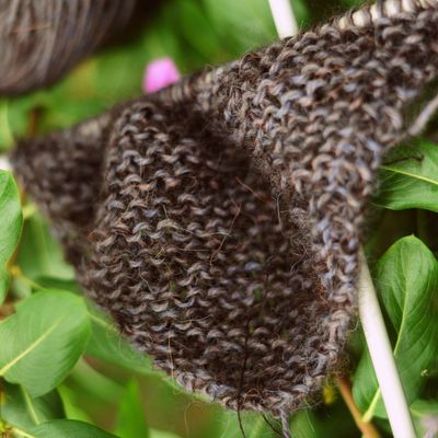 Amour et déchirements