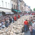 Fête de la brebis 2016 - Requista Aveyron 
