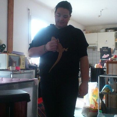 Sandy et son terrarium