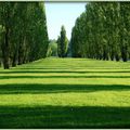 Jeux d'ombres au Parc de Sceaux