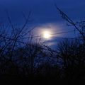 La lune un soir cette semaine ! Le seul jour en