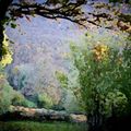 DE RIMBAINE A VERLAUD. 3, Forêt automnale