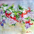 Fleurs de prunier, aquarelle 30 x 40.