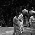 tokyo-sumo fighters