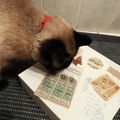 Petits bonheurs et linge ancien
