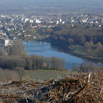 LEGISLATION EUROPEENNE CONTRE LA DEFORESTATION...