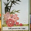 Une carte....