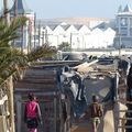 La Namibie : Swakopmund et la vie dans un township 3
