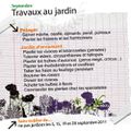 Travaux de septembre au jardin