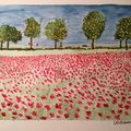 COQUELICOTS NOUVEAUX - DEFINITIF