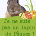 Un lapin, c'est s'engager pour 10 ans !