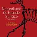 François Riou - Naturalisme de grande surface - Rouen