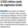 Incendie de végétation