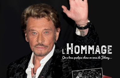 Johnny en deux livres : Hallyday vu du côté des fans... et de son harmoniciste!!