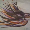 Draw-oiseau 