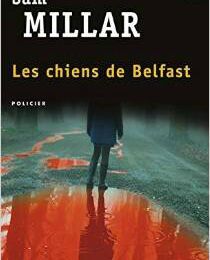 Les chiens de Belfast