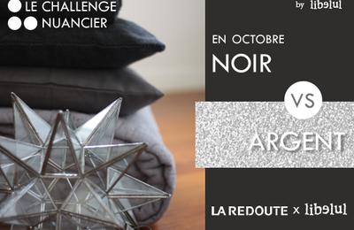 COLOR MATCH #10: NOIR vs ARGENT