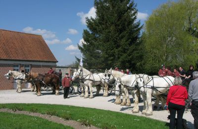 Rassemblement 1 Equipe Boulonnaise