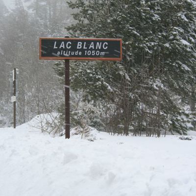 Le Lac Blanc sous la neige (Vosges)