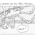Il était une fois Michel l'araignée domestique...