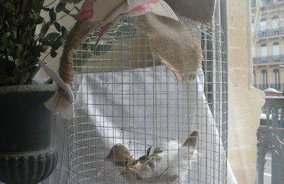 CAGE  AUX OISEAUX