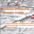 👨‍🌾 Décembre en proverbes et citations au jardin. Paysagiste Pays Basque Paysagiste Landes.
