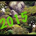 Bonne Année 2015 !