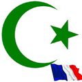 Faisant suite à l'article de Cassin, la France, fille aînée de l’islam : la faute à qui et pourquoi ? 