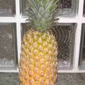 l'ananas 