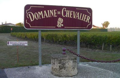 Vendanges bordelaises : Domaine de Chevalier blanc 2009