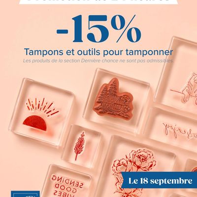 PROMOTION SUR LES TAMPONS