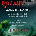 20 juin 2014 - Breteuil - Tarzan