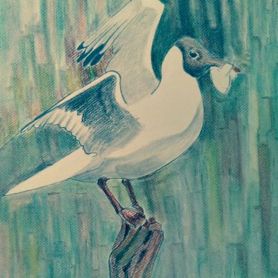 Oiseau marin