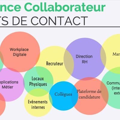 L’EXPÉRIENCE COLLABORATEUR