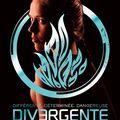 Divergente, Tome 1 - Veronica Roth 