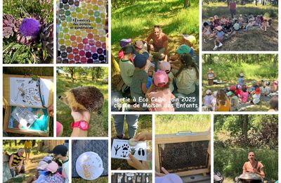 Sortie à Eco-ceiba pour les enfants de Maison des Enfants