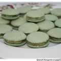 MACARONS A LA POMME VERTE