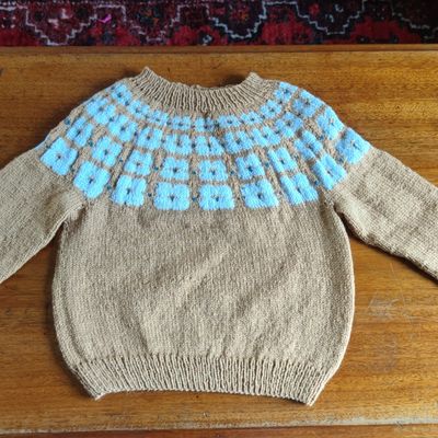 Pull à motif floral en taille 2 ans pour Zoé 