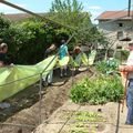 Un nouveau toit pour les légumes