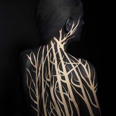 « Les bois nocturnes » photo Pascal Colrat