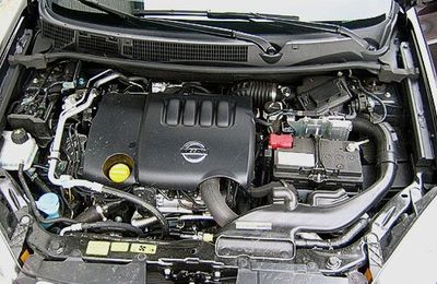 C'est d'un commun ! (Walrus)