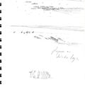 phoques en Baie des Veys