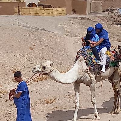 Balade en dromadaire au désert Agafay