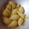 Conchiglie-coquilles Farcies à la Crevette et Poivron