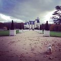 Dog-friendly Place : château de Chenonceau 