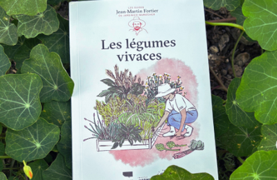 Faire pousser des légumes sans les replanter tous les ans